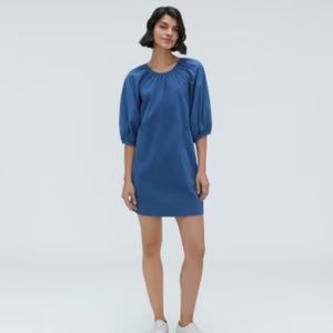 Everlane The Seersucker Puff Sleeve Dress in Blue